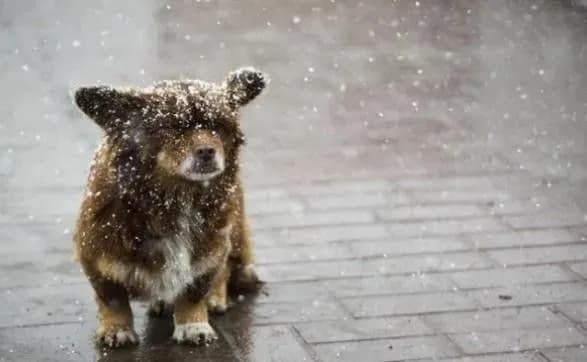 Зима прощатиметься з Україною невеликим снігом і морозами