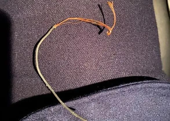 "Агент НАБУ" Шевченко заявил о попытках слежки за ним