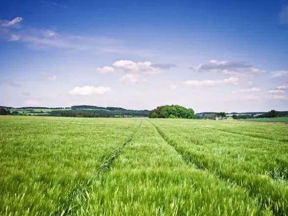 13 марта: какой сегодня праздник