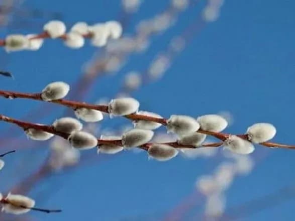 21 марта: какой праздник сегодня