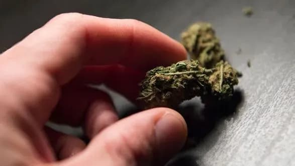 Шесть лет за 11 граммов конопли: суд отменил приговор и отпустил на волю 16-летнего подростка