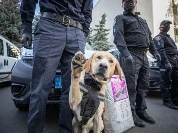 2 квітня: в Україні відзначають день кінолога, у світі - день фактчекінгу