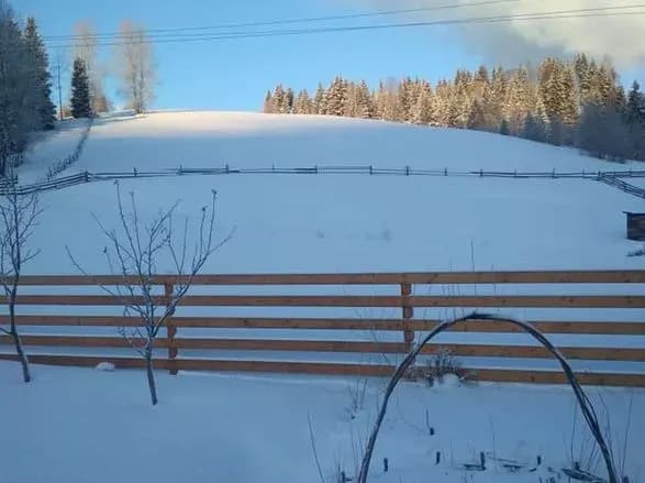 На Буковину повернулась зима - зафіксували 20 градусів морозу