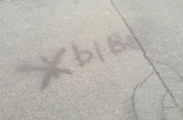 В Беларуси 13-летняя школьница написала на асфальте "Живе" и попала в милицию за пикет