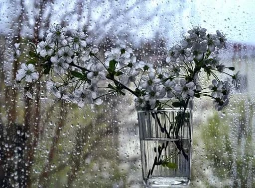 Від заморозків до 15° тепла: прогноз погоди на сьогодні