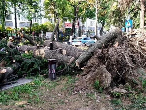 Внаслідок грози в Китаї загинули 11 людей, понад 100 постраждалих