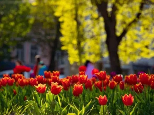 Від 4° до 24° тепла: прогноз погоди на сьогодні