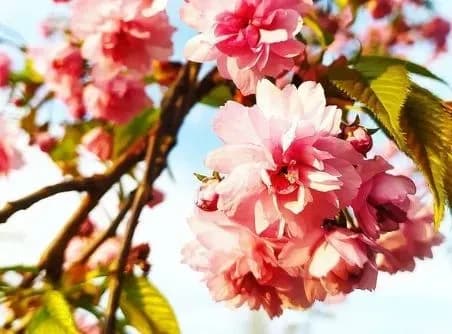 Від заморозків до 21° тепла: прогноз погоди на сьогодні