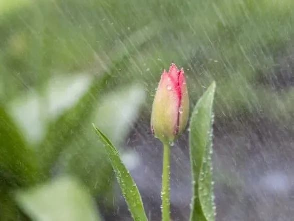 Грози і під 30° тепла: прогноз погоди на сьогодні