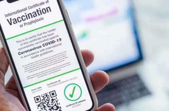 Паспорти вакцинації в Британії хочуть скасувати - ЗМІ