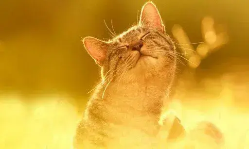 На вихідних температура поповзе вгору - синоптики