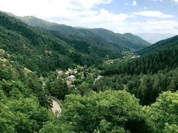 Рятувальники і рейнджери шукають сім людей в лісі на півдні Грузії