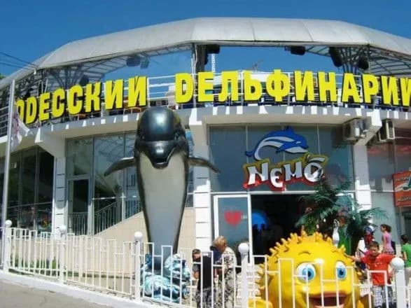 Дельфін покусав дитину в Одеському дельфінарії