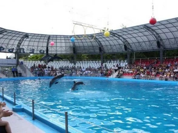 Команду Труханова звинуватили в жорстокому поводженні з дельфінами і забудові міста під виглядом "Великого будівництва" Зеленського