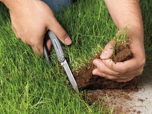 Земельний скандал на Чернігівщині: пайовики ледь не побили представників фірми з орбіти “Кернел” за спробу їх обдурити