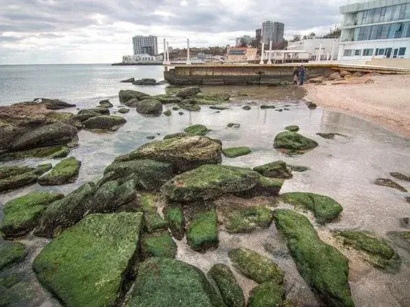 Одеське узбережжя незаконно забудовують під виглядом соціальних об'єктів - депутат міськради