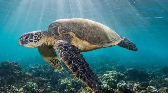 16 червня: яке сьогодні свято