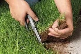 Земельные махинаторы на Черниговщине: самозванцы зарегистрировали клон компании матери покойного нардепа Давыденко и хотят захватить земельный банк