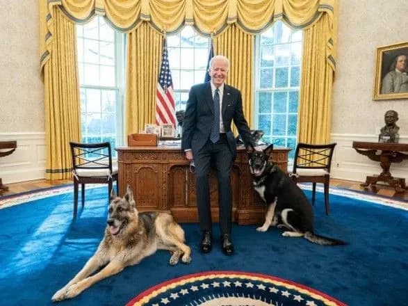 Байден сообщил о смерти своей овчарки
