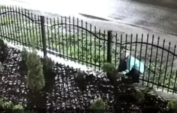 Перехрестилася і пішла на крадіжку: поліція відкрила провадження за вкрадені туї з подвір'я церкви