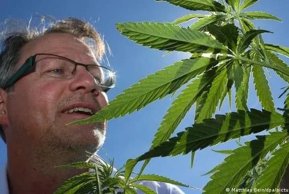 В Германии запустили государственную торговлю медицинской коноплей в аптеках