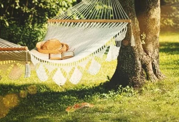 22 липня: яке сьогодні свято