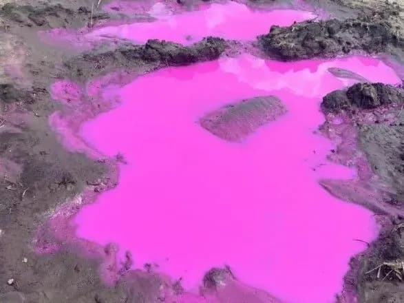 У Держекоінспекції розповіли деталі про рожеву калюжу на Рівненщині
