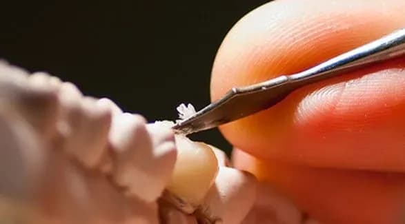 25 липня: сьогодні день працівників торгівлі та зубних техніків