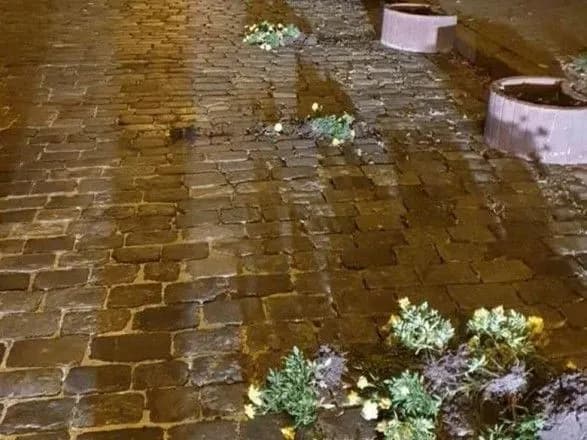 В столице мужчина повредил Аллею Героев Небесной Сотни