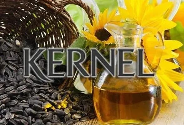 Після незначного підйому акції агрохолдингу "Кернел" знову впали