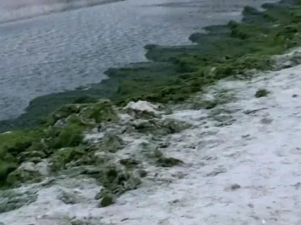 Бруд, розруха, торговці на асфальті: одесити вимагають від влади прибрати на пляжах