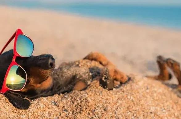 В неділю спека в окремих регіонах сягне 32 градусів, а вода в Азовському морі прогрілася до 27