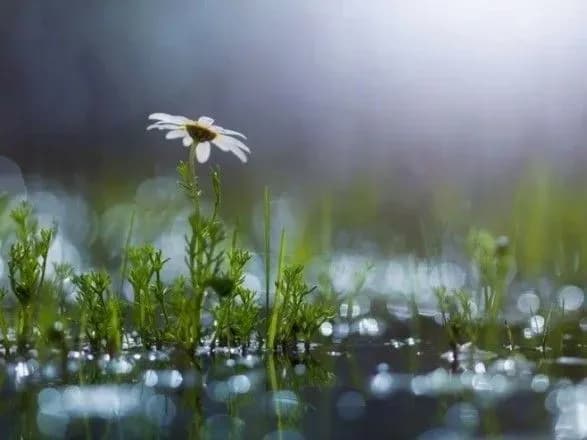 Дощі на заході і до 34° тепла: прогноз погоди на сьогодні