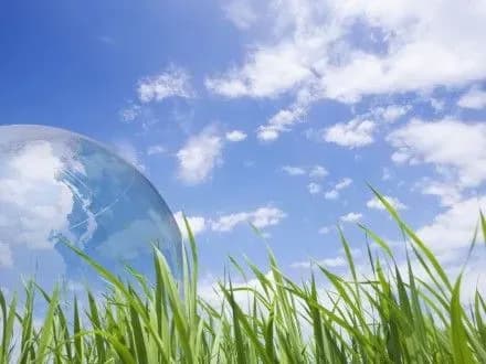 Екоексперт: влада стала більше уваги приділяти охороні довкілля