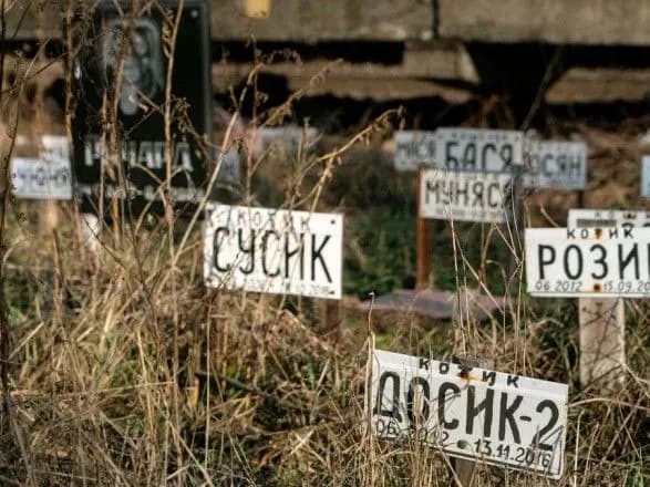 Будівництво кладовища для домашніх тварин у Києві знову обіцяють розпочати наступного року