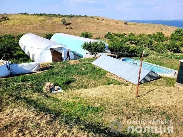 Мужчина оборудовал теплицы с элитной коноплей: во время обысков полиция обнаружила каннабиса на 11 млн грн