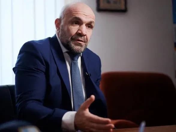 Мангер звинуватив прокурорів у фальсифікації доказів у справі Гандзюк