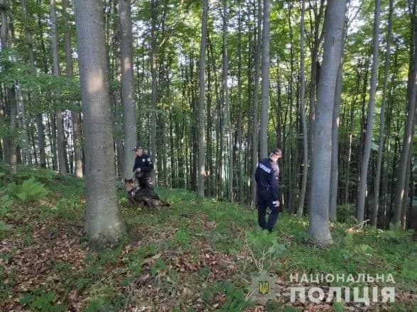 На Закарпатті пропало четверо дітей, які ввечері пішли в ліс: поліцію підняли по тривозі