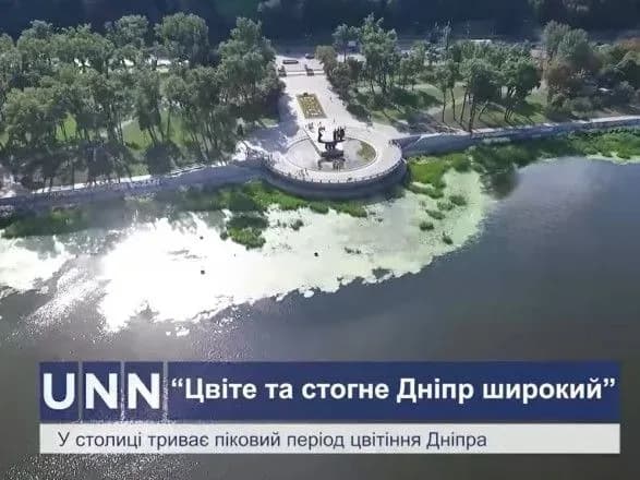 “Цвіте та стогне Дніпр широкий”: в Україні продовжують забруднювати найбільшу річку