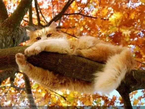 В понедельник в Киеве и области тепло и почти без осадков