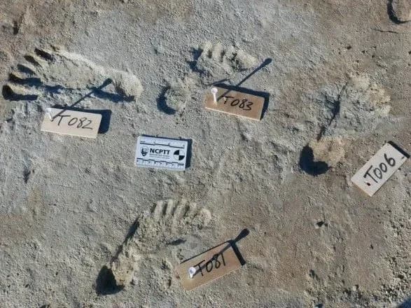 Исследователи: первые люди могли появиться в Америке на 7 тысяч лет раньше, чем считалось