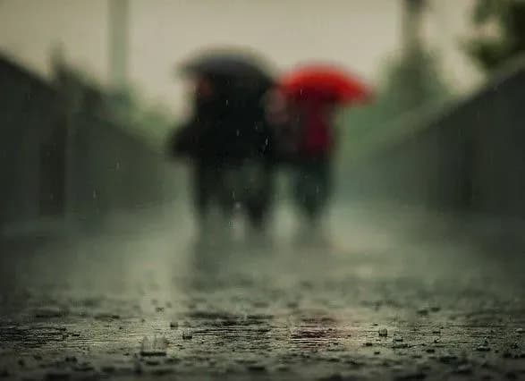 Дожди и ветер: прогноз погоды на сегодня