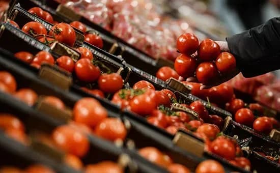 Росія знайшла вірус у турецьких помідорах після заяви Ердогана про Крим