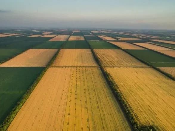 Агрохолдинг “Кернел” звинуватили у масовій підробці угод з пайовиками
