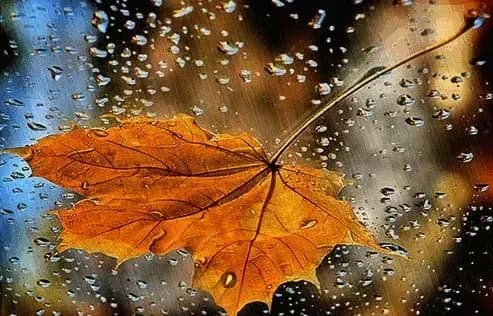 Синоптики прогнозируют со вторника дожди в большинстве областей