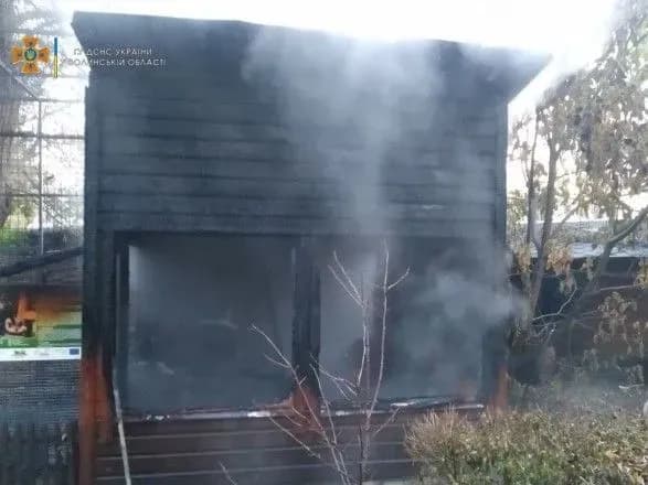 У Луцькому зоопарку сталася пожежа: загинули три мавпи