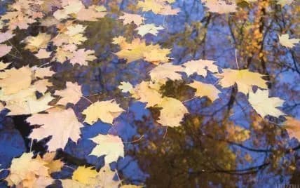 Синоптики дали прогноз на найближчі дні: де чекати морозу вночі