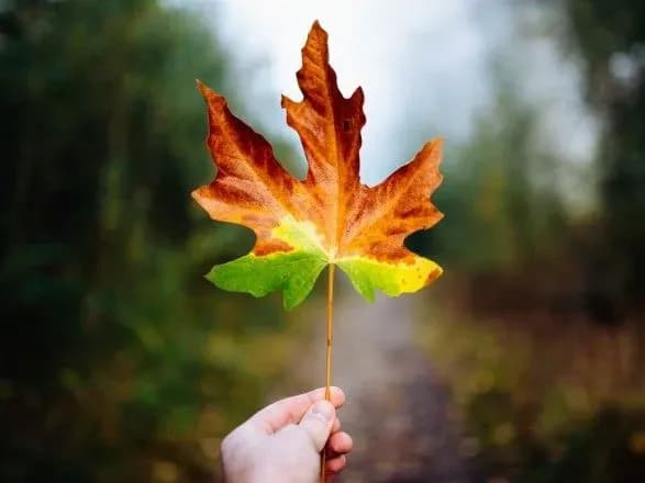 Від 9° морозу до 13° тепла: прогноз погоди на сьогодні