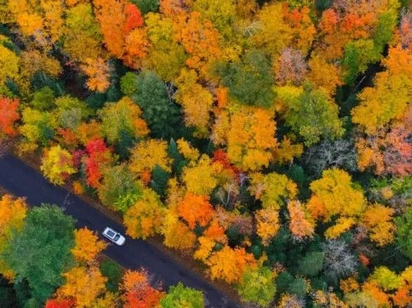 Нічні морози та до 13° тепла вдень: прогноз погоди на сьогодні