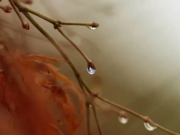 Дощі повертаються: прогноз погоди на сьогодні